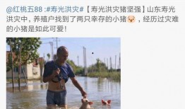 如何看待娱乐圈爆料的现象,娱乐圈爆料现象的利弊解析